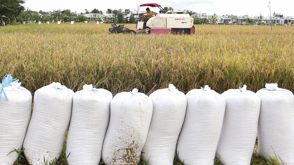 Bulog Ingin Pembayaran Gabah Nontunai, Jalin Kerja Sama Bank Negara