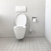 2 Tombol Flush di Toilet Duduk Ternyata Punya Fungsi Berbeda, Sudah Tahu?