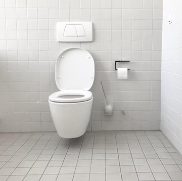 2 Tombol Flush di Toilet Duduk Ternyata Punya Fungsi Berbeda, Sudah Tahu?