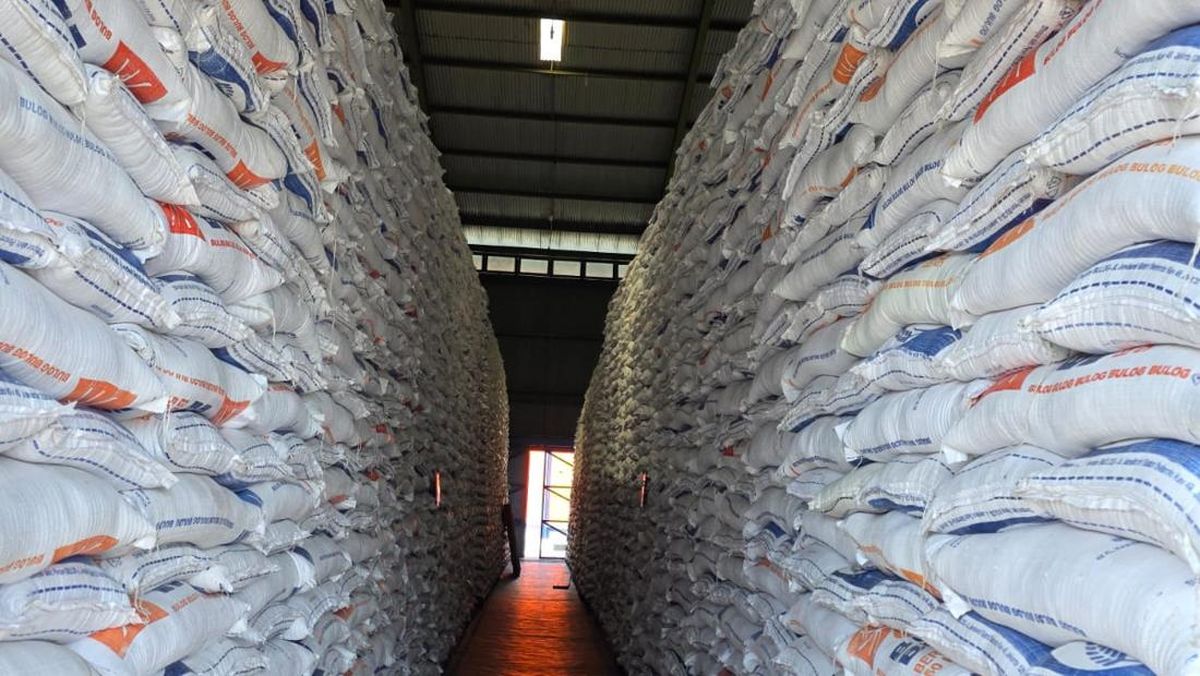 Bulog Sinergi Sewa Gudang, Amankan Stok Gabah dan Beras Panen Raya