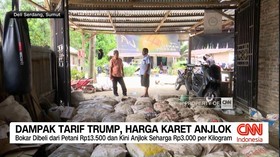 VIDEO: Dampak Tarif Trump, Harga Karet Anjlok