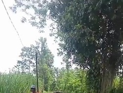 Viral Sampah Menumpuk Tutup Akses Jalan di Kabupaten Malang