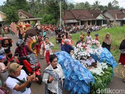 Pesta Ulang Tahun 3 Kucing di Banyuwangi Digelar Meriah Selama 2 Hari