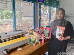 Rumput Laut Krispi Pangandaran Tembus Pasar Singapura