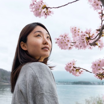 Selain di Jepang, Ini 10 Tempat Terbaik untuk Melihat Kecantikan Bunga Sakura Bermekaran