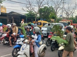 Daun Palem untuk Katolik, Hadiah Toleransi dari Remaja Masjid Labuan Bajo