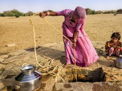 Gurun Besar India yang Kering Mulai Hijau Lagi, Kok Bisa?