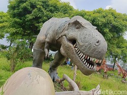 Petualangan di Kapal Hantu dan Hutan Dinosaurus Pantai Lampung Selatan