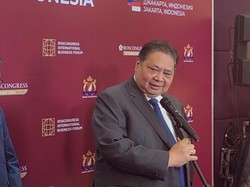 Blok Masela Masih Mandek, Airlangga Tagih Janji ke Jepang
