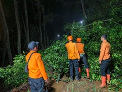 Tebing 14 Meter di Ciawi Bogor Longsor Tutup Jalan Alternatif ke Pancawati
