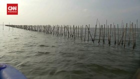 VIDEO: Nelayan Temukan 10 KM Pagar Laut Tangerang Belum Dibongkar