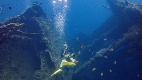 FOTO: Surga Bawah Laut Tulamben Bali dan Kisah Kapal Perang yang Karam