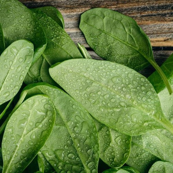 Bayam/Foto: freepik.com/pvproductions