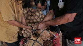 Amran Targetkan Harga Kelapa Bulat Petani Naik Jadi Rp6.000 per Butir