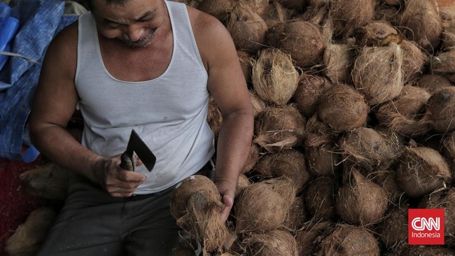 Di Jakarta, harga rata-rata kelapa kupas mencapai Rp14.467 per butir per hari ini, Rabu (28/5). April lalu, harga kelapa sempat tembus Rp20 ribu per butir.