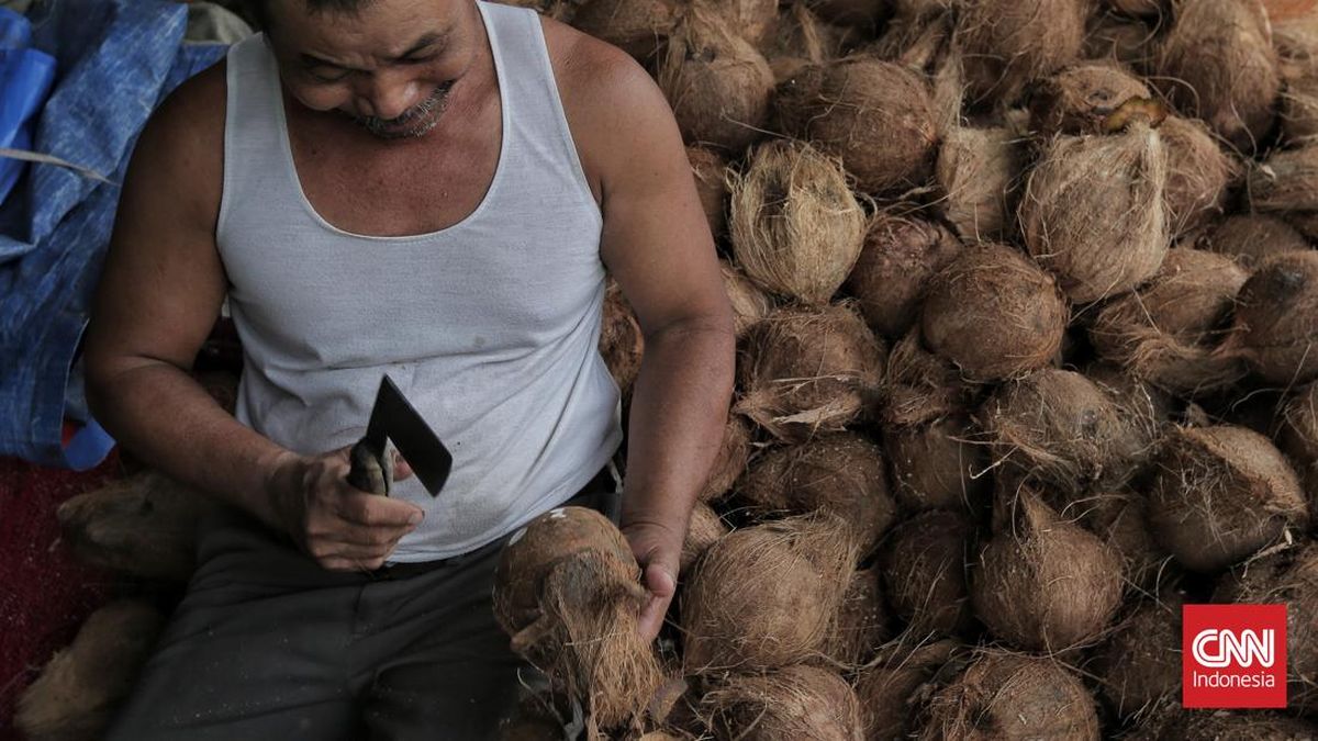 Amran Mau Genjot Ekspor Kelapa 3 Kali Lipat Meski Harga Masih Mahal