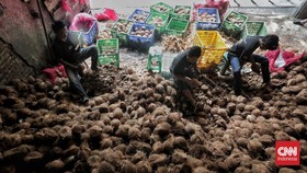 Amran soal Harga Kelapa Melejit: Alhamdulillah Petani Bahagia