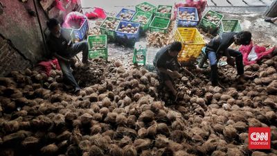 Mendag Kukuh Tak Akan Setop Ekspor Kelapa Jelang Ramadan dan Lebaran