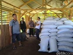 Kotoran Hewan Jadi Cuan Bernilai Jutaan di Tangan Heri