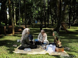 Ambisius! Jakarta Akan Punya Taman 6,2 Hektare, Buka 24 Jam