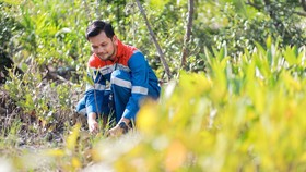 Pertamina Galang Hutan Lestari, Dukung NZE 2060 dan Ketahanan Pangan