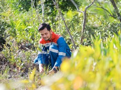 Hari Hutan Sedunia, Pertamina Perkuat Program Hutan Lestari untuk NZE 2060