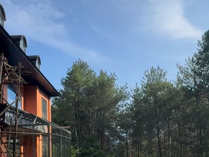 Rumah Baru Zaskia Sungkar Bernuansa Klasik & Dikelilingi Pohon Pinus, Ini Potretnya