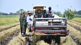 Bulog Mojokerto Raih Peringkat 1 Serapan Gabah dan Beras se-Jatim