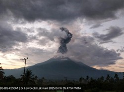 Gunung Lewotobi Laki-Laki Meletus, Warga Panik dengar Suara Seperti Ledakan