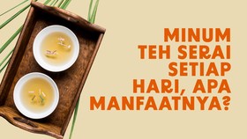 INFOGRAFIS: Minum Serai Setiap Hari, Apa Saja Manfaatnya?