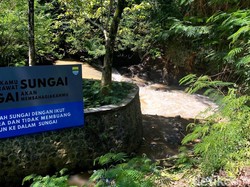 Sungai Cikapundung Nasibmu Kini, Tercemar Kotoran Sapi