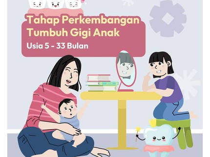 Tahap Perkembangan Tumbuh Gigi Anak Usia 5 - 33 Bulan