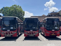 Senyum Bahagia Sopir Bus Trans Metro Dewata
