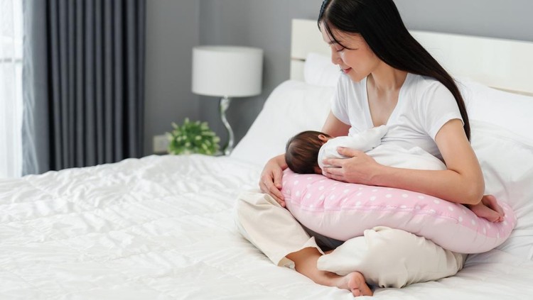 Ilustrasi Bantal Menyusui Ilustrasi Bantal Menyusui