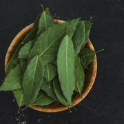 Sudah Tahu? Ternyata Daun Insulin Bisa Bantu Sembuhkan 7 Penyakit Ini!