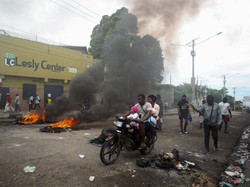 Bikin Merinding saat Puluhan Mayat Korban Geng Haiti Dimakan Anjing