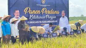 Kemenimipas Panen Perdana Program Ketahanan Pangan di Nusakambangan