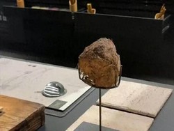 5 Resto China Kontroversial, Tawarkan Plasenta hingga Kotoran Gajah