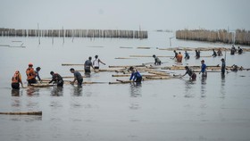 Sidang Kasus Pagar Laut Kohod Tangerang Digelar Selasa 30 September