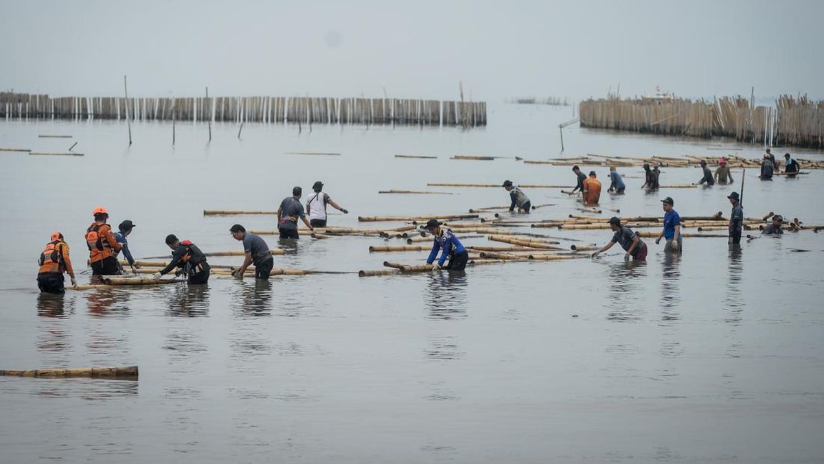 Sidang Kasus Pagar Laut Kohod Tangerang Digelar Selasa 30 September