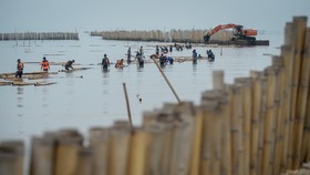 FOTO: Pembongkaran Pagar Laut Terakhir di Desa Kohod