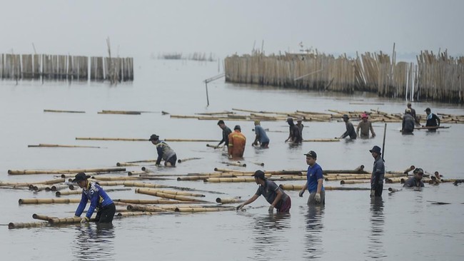 DKP Provinsi Banten bersama KKP kembali melakukan pembongkaran pagar laut di Desa Kohod, Kabupaten Tangerang pada Rabu (16/4).