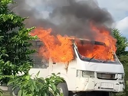 Apes Kakak Adik di Buton Diamuk Massa-Mobil Dibakar Usai Kepergok Curi Sapi