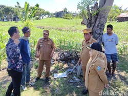 Kawasan Industri Parepare Mandek gegara Dokumen Lingkungan-Pembebasan Lahan