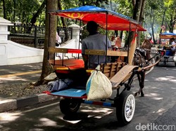 Ini Kata Kusir Delman Resmi di Bandung, Usai Ada Delman Getok Tarif