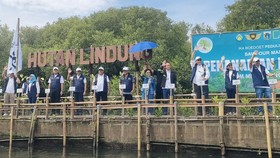 Megawati dan CT Tanam Mangrove di Hutan Lindung PIK