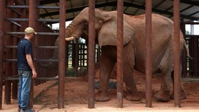 FOTO: Rumah Baru Gajah Pupy Setelah 30 Tahun Menetap di Argentina