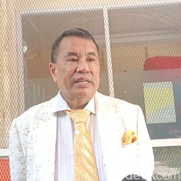 Soroti Kehamilan Erika Carlina, Hotman Paris Sayangkan Hal Ini