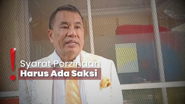 Hotman Paris Protes Putusan Hakim soal Paula Verhoeven Istri Durhaka
