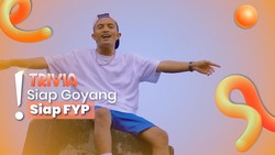Fun Fact 'Stecu Stecu', Digoyang Selebritis Bikin Faris Adam Terkenal